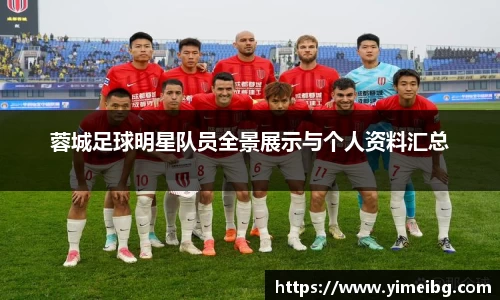 蓉城足球明星队员全景展示与个人资料汇总